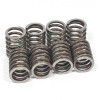 Performance valve spring set